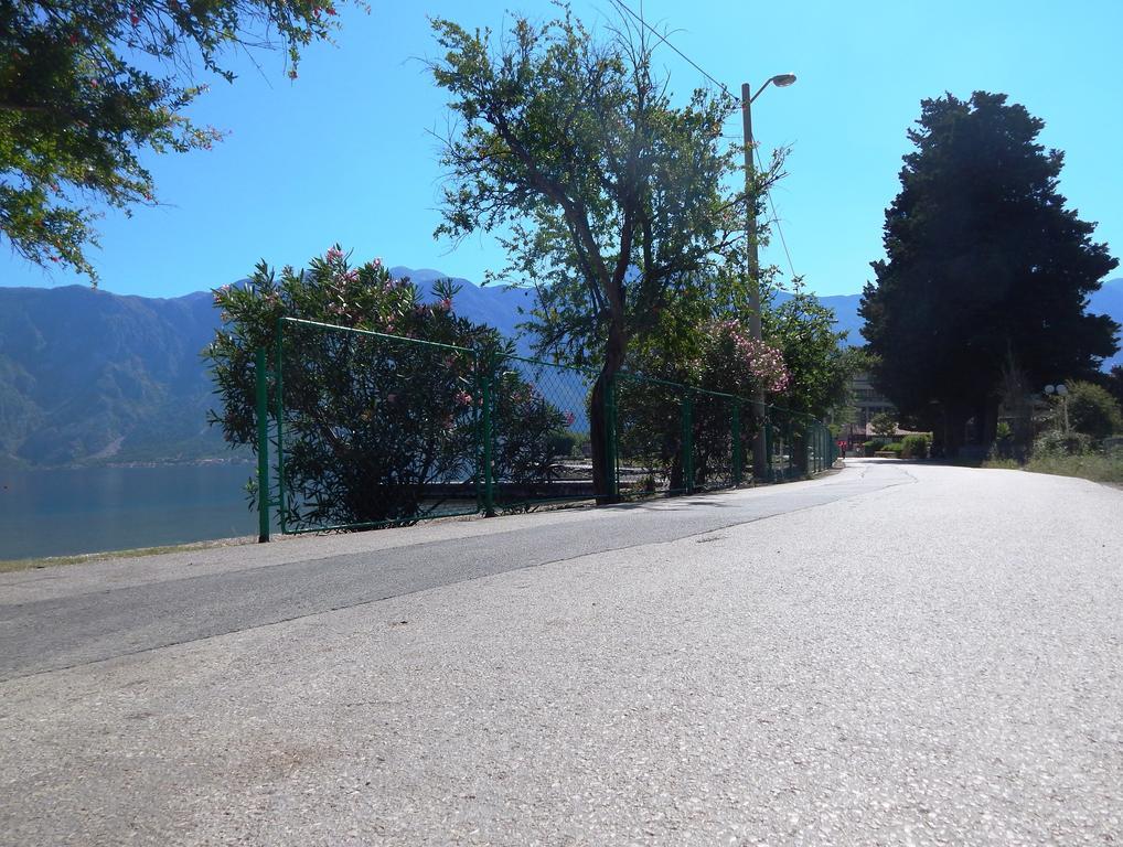 Apartments Scorpio Kotor Bagian luar foto