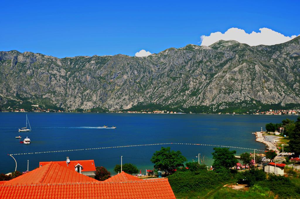 Apartments Scorpio Kotor Ruang foto