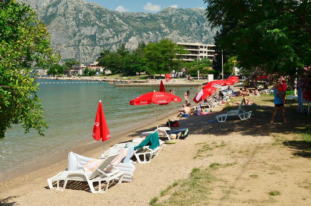 Apartments Scorpio Kotor Bagian luar foto